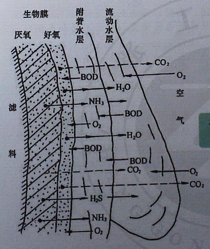 %title插圖%num