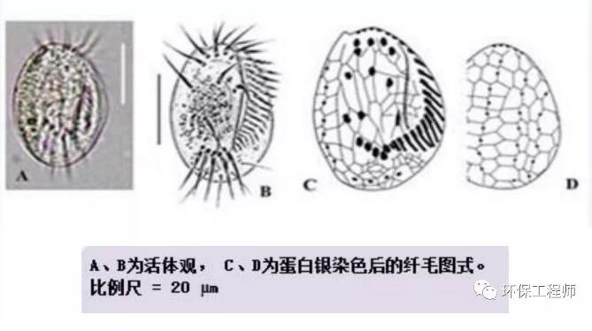 %title插圖%num