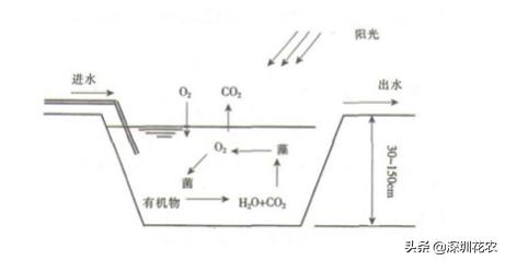 %title插圖%num