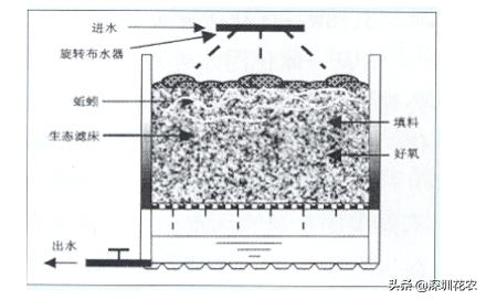 %title插圖%num