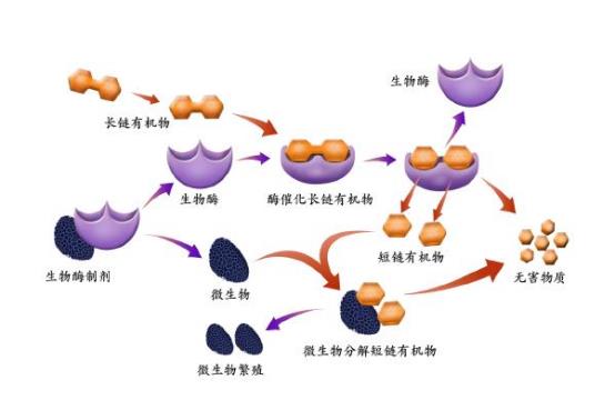 %title插圖%num