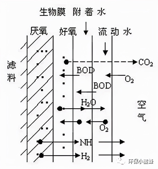 %title插圖%num